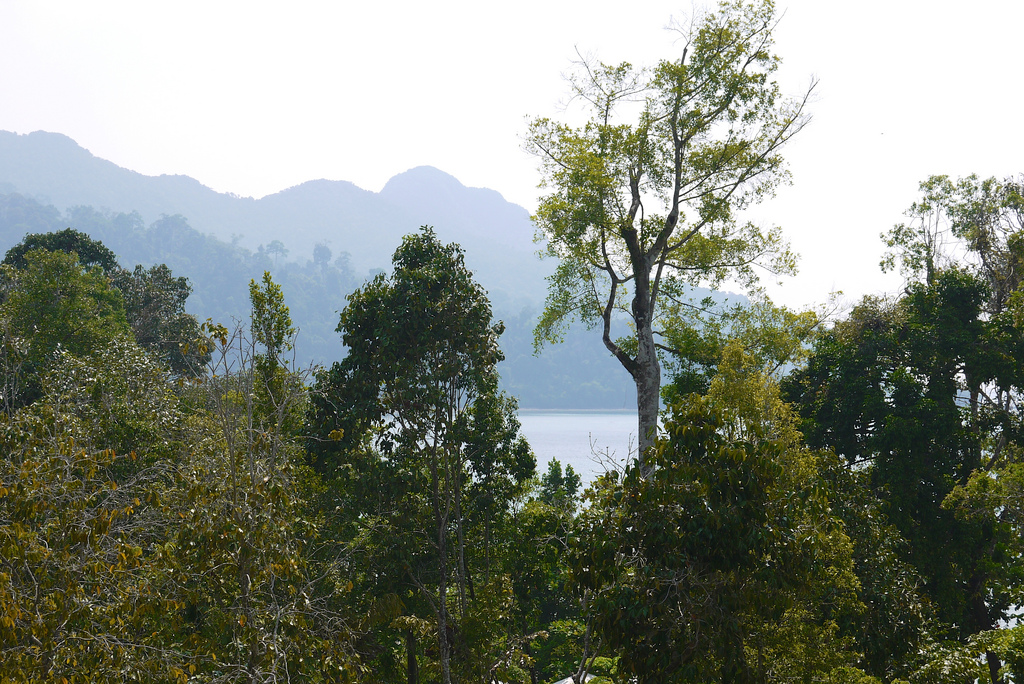 Four Seasons Langkawi resort and The Andaman Langkawi