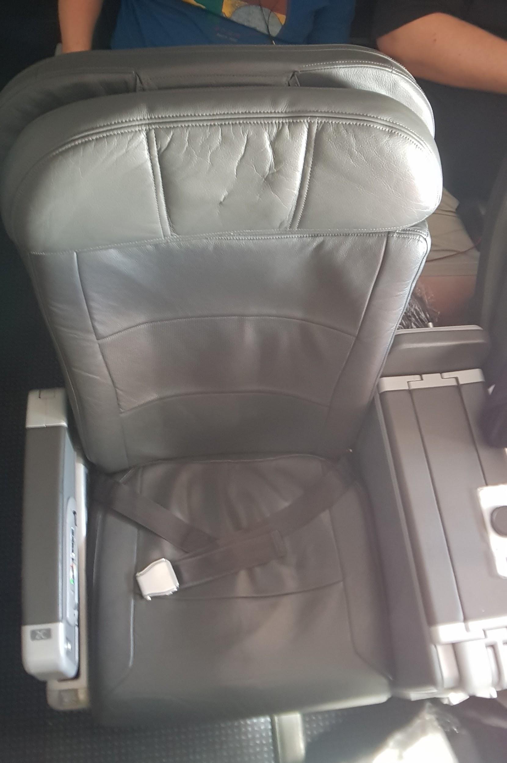 American Airlines Domestic Business Class