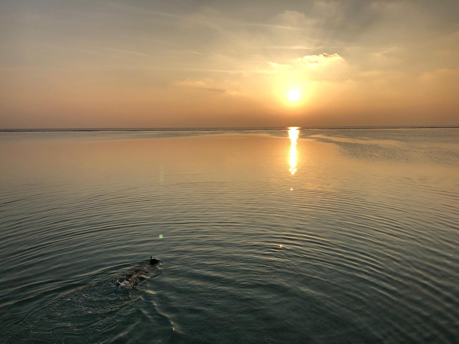 Conrad Rangali Maldives sunset view