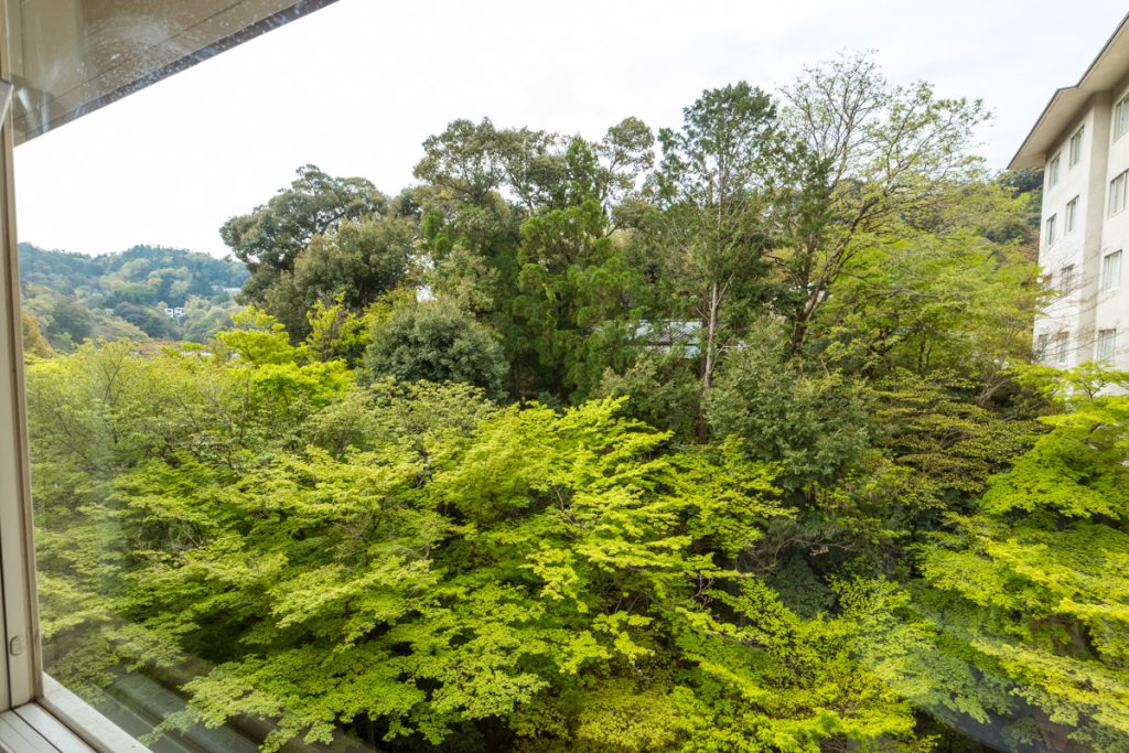 Westin Miyako Kyoto Deluxe Garden room view